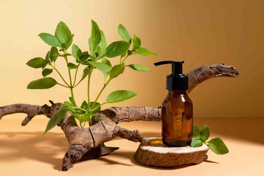 Rosemary Essential Oil for Skin and Hair